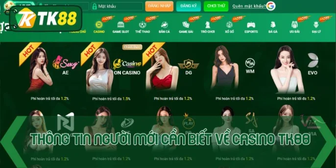 Casino TK88 - Điểm Cá Cược Giải Trí Số 1 Thị Trường Online