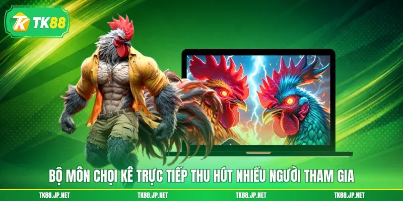 Đá Gà Trực Tiếp - Mãn Nhãn Từng Giây, Kết Nối Đam Mê