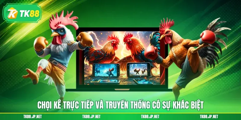 Đá Gà Trực Tiếp - Mãn Nhãn Từng Giây, Kết Nối Đam Mê