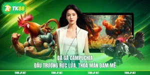 Trải nghiệm đá gà TK88 với 3 hình thức khó lòng rời mắt