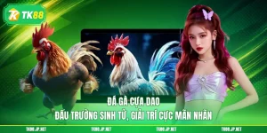 Trải nghiệm đá gà TK88 với 3 hình thức khó lòng rời mắt