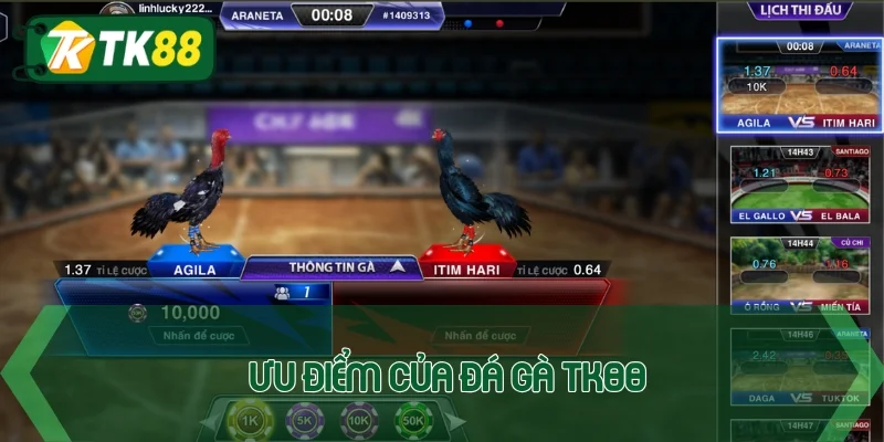 Trải nghiệm đá gà TK88 với 3 hình thức khó lòng rời mắt