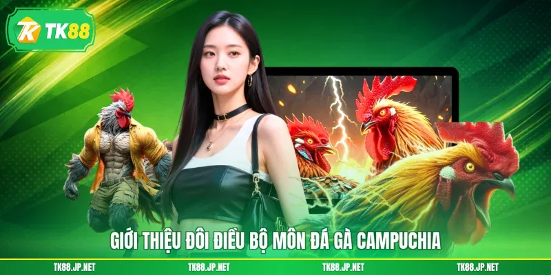 Đá Gà Campuchia - Đấu Trường Rực Lửa, Thỏa Mãn Đam Mê