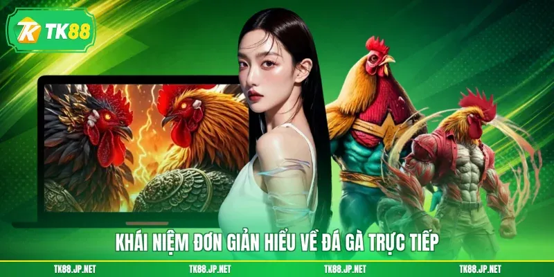 Đá Gà Trực Tiếp - Mãn Nhãn Từng Giây, Kết Nối Đam Mê