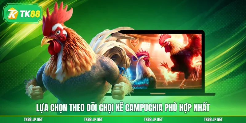 Đá Gà Campuchia - Đấu Trường Rực Lửa, Thỏa Mãn Đam Mê