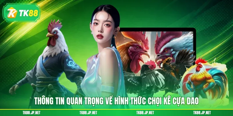 Đá Gà Cựa Dao - Đấu Trường Sinh Tử, Giải Trí Cực Mãn Nhãn