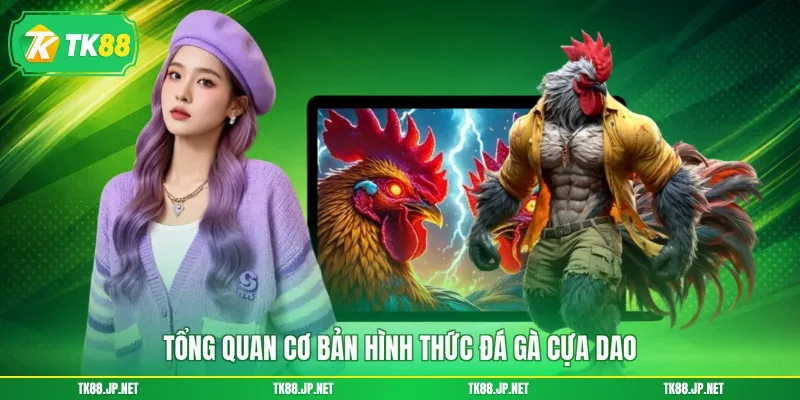 Đá Gà Cựa Dao - Đấu Trường Sinh Tử, Giải Trí Cực Mãn Nhãn