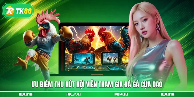 Đá Gà Cựa Dao - Đấu Trường Sinh Tử, Giải Trí Cực Mãn Nhãn