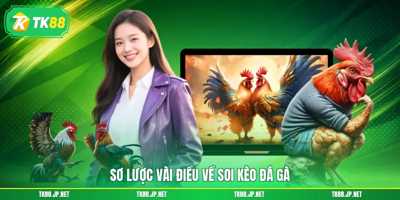 Soi Kèo Đá Gà - Chọn Đúng Chiến Kê, Rinh Về Tiền Thưởng