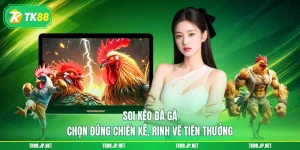 Trải nghiệm đá gà TK88 với 3 hình thức khó lòng rời mắt