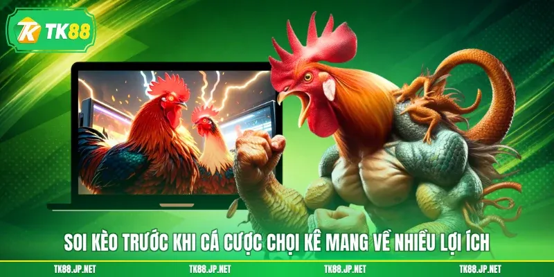 Soi Kèo Đá Gà - Chọn Đúng Chiến Kê, Rinh Về Tiền Thưởng