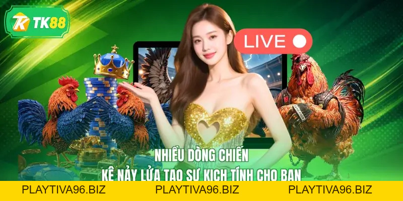 TK88 - TK88.COM | Trang Chủ Chính Thức TK88 - Đăng Ký Nhận Ngay Lộc T10